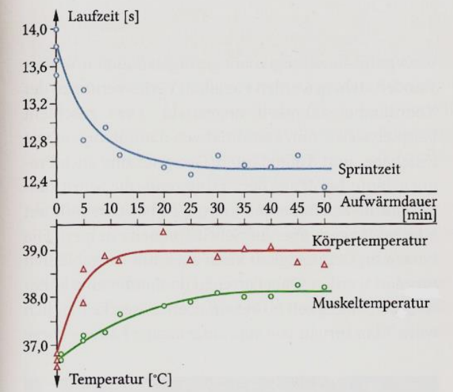 Diagramm zu Sprintzeit, Körpertemperatur und Muskeltemperatur während der Aufwärmdauer.